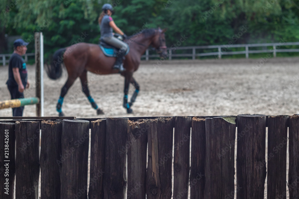 Wall mural background. beautiful horse exercising in the arena