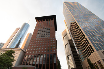 Skyscrapers in Frankfurt