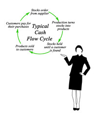 Typical Cash Flow Cycle