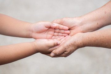 hand of parent and child on the background blurred nature.Mother holding hands baby