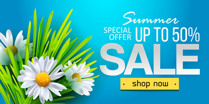 Summer sale web banner, background with daisy flowers chamomiles. Seasonal discount. Vector illustration. Stylish typography