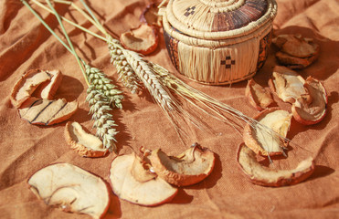 Autumn flatlay with dried apples and spikes.