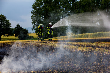 Zwei Feuerwehrleute löschen unter schwerem Atemschutz einen Flächenbrand.