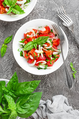 Vegetable salad with fresh tomato, basil and onion