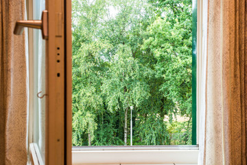 nature landscape with a view through a window with green trees