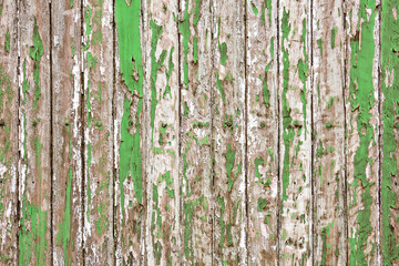 Obraz premium Old wooden wall painted with pale green color peeling revealed rustic texture