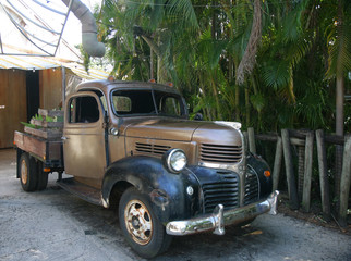 Old vintage brown  auto in tropical forest