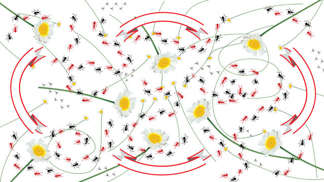 Patrón floral caleidoscopio con hormigas
