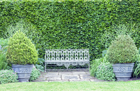 Metal grey bench between two ornamental pots with topiary plants, against tall leafy hedge wall, in summer garden .