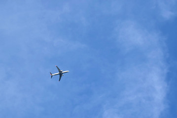 The plane flies high in the sky. The blue clear sky. Bottom view.