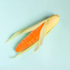 Corn and carrot are connected on pastel blue background
