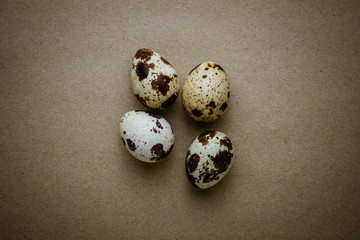 Brown bird eggs on recycled craft paper