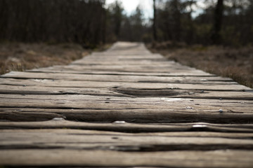 Fototapeta premium Wooden path