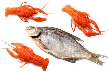 crawfish with dried fish isolated on white background. Beer brewery concept. Beer background
