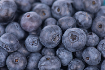 Heidelbeeren füllen das gesamte Bild