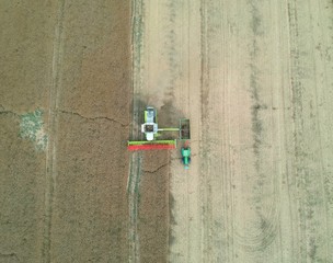Combine harvester transferring grain to truck trailer, aerial view of harvest