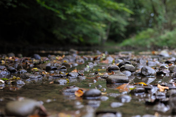 rocky creek