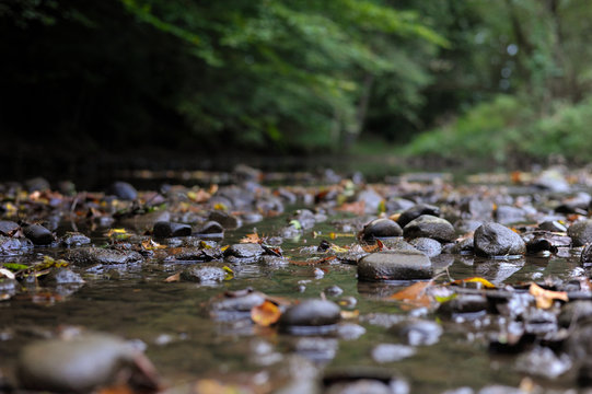 rocky creek