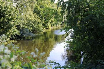 Obraz premium Scenic view of the river Alster and lush greenery surrounding it in Eppendorf, Hamburg