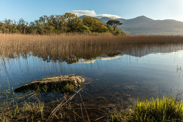 Typical Irish landscape. Amazing landscape, mountains, lake, forest. Reflection in water. Reed, stone, tree, cloud, sky, shore. Very popular travel destination.