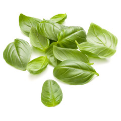 Sweet basil herb leaves handful isolated on white background closeup
