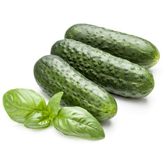 Cucumber vegetable and basil leaves isolated on white background cutout