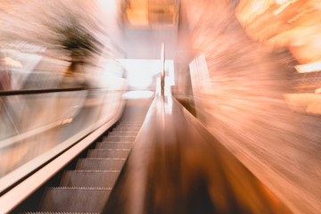 Vinohradský Pavilon