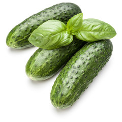 Cucumber vegetable and basil leaves isolated on white background cutout