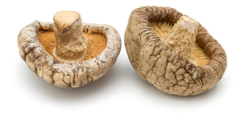 Dried Shiitake Mushroom isolated on white background