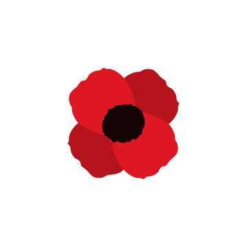 poppy vector flower memorial symbol world war icon