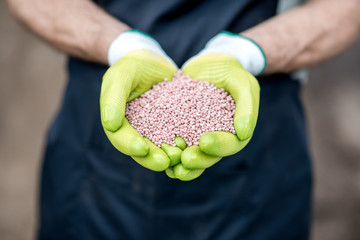 Farmer's hands in the green working gloves holding mineral fertilizers, close-up view