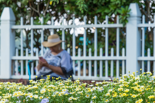 A woman browsing a cellphone as a foreground of beautiful garden flowers