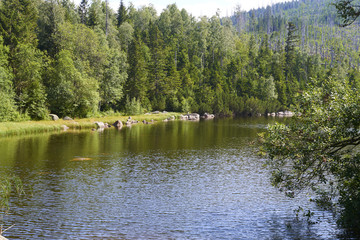Plesne lake in Sumava national park (Bohemian Forest) in Czech republic