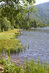 Plesne lake in Sumava national park (Bohemian Forest) in Czech republic