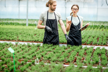 Couple of workers working with digital tablet supervising the growing of plants in the greenhouse...