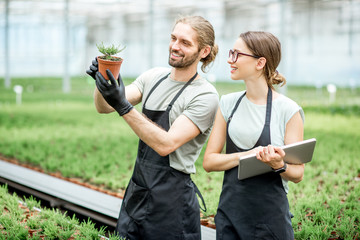 Couple of workers working with digital tablet supervising the growing of plants in the greenhouse...
