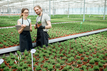 Couple of workers working with digital tablet supervising the growing of plants in the greenhouse...