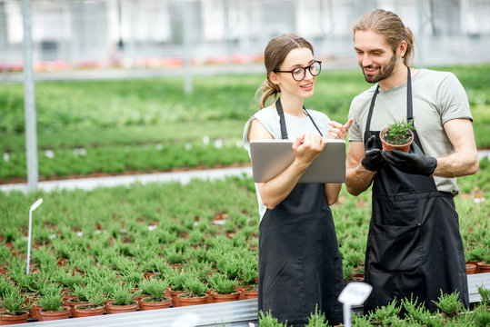 Couple of workers working with digital tablet supervising the growing of plants in the greenhouse of the plants production