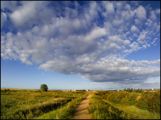 Path to the Marshes