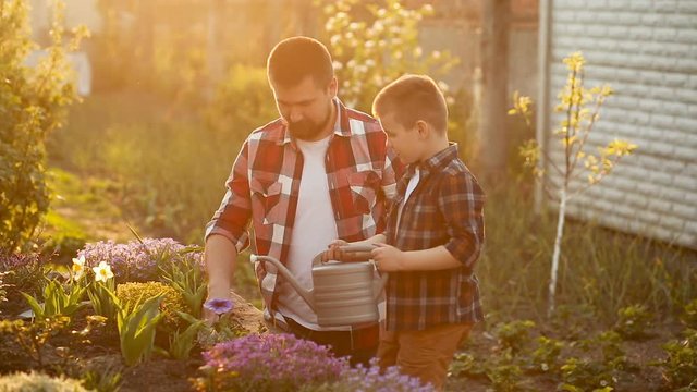 Father and son planting seedlings and watering them in backyard garden
