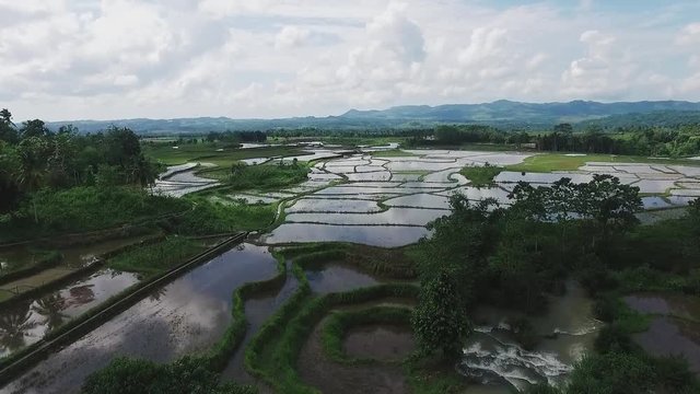 Beautiful landscape of rice fields | Aerial shot | Jib/crane