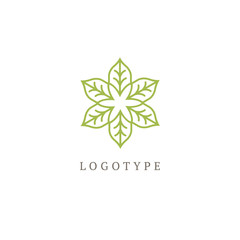 Vector floral luxury curve logo design. Green leaf ornate frame. Vintage premium design vector element.