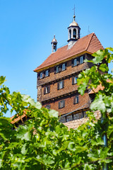 Esslingen am Neckar Burg