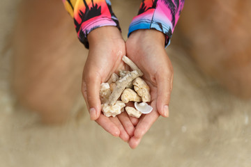 woman hands holding some pieces of coral in a sand beach background