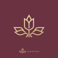 Vector floral luxury curve logo design. Rose Ornate frame. Vintage premium design vector element.