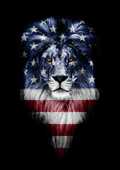 Portrait of a Beautiful lion, faceart and patriotism concept. Portrait of a leader. king. Portrait of a lion with a projection of the flag of the France. Patriot of his country