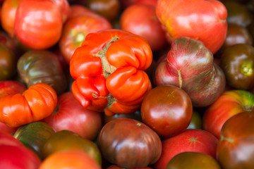 Crop of organically grown tomatoes for sale at farmers market