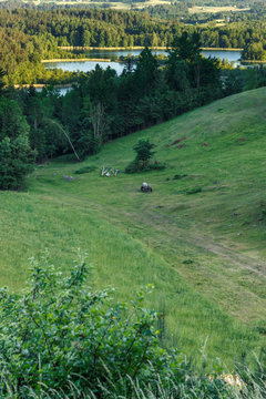 suwalszczyzna