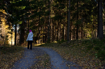 walking in autumn forest