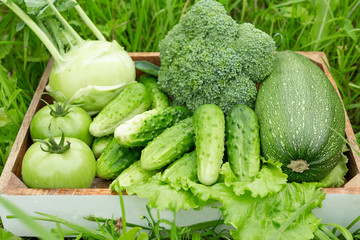 Fresh vegetables in the box on the green grass
